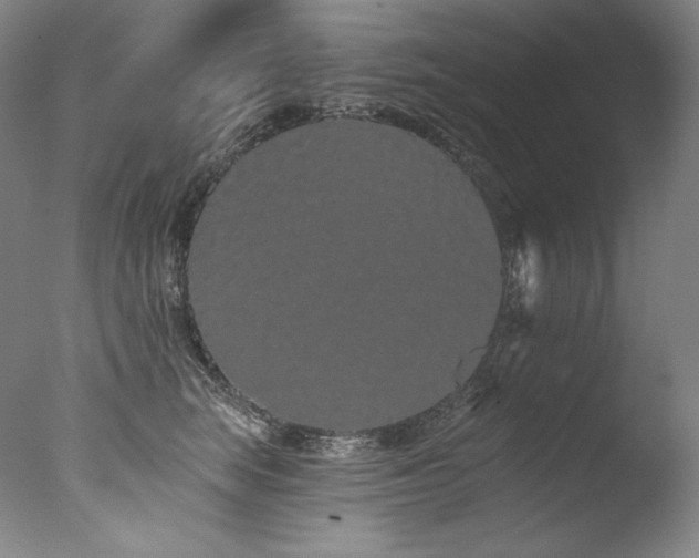 X0000077370663200610201350