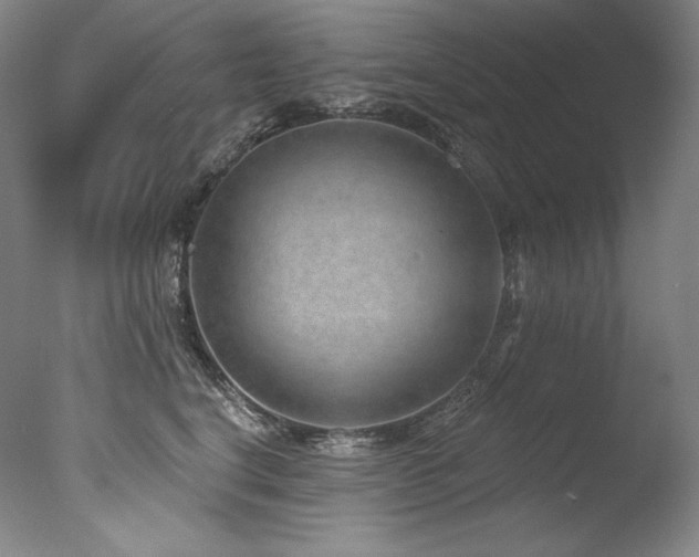 X0000077370664200610201350