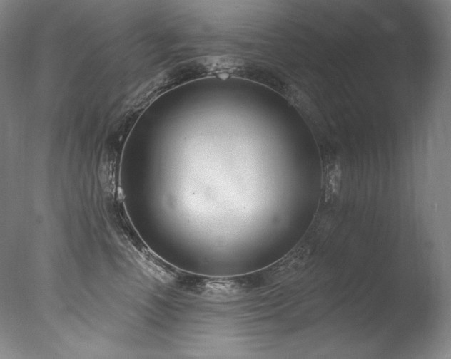 X0000077370666200610201350