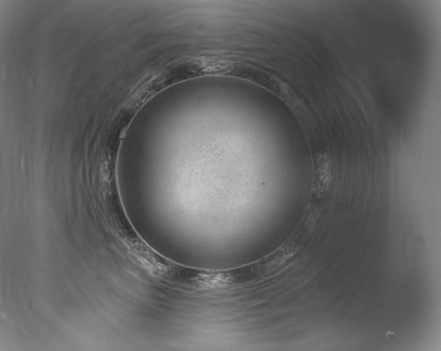 X0000077370667200610201350