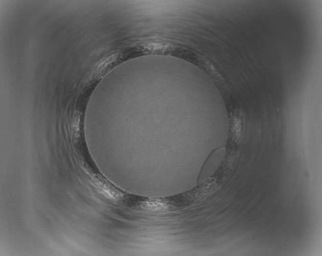 X0000077370668200610201350