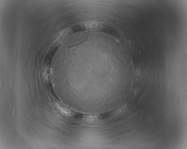 X0000077370671200610201350