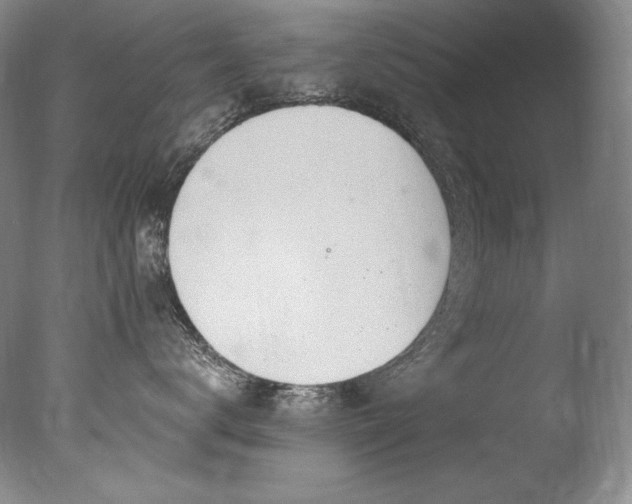 X0000077370672200610201350