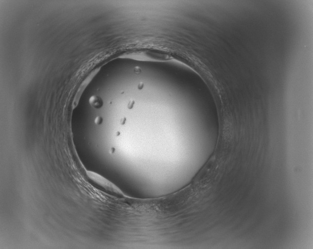 X0000077370673200610201349