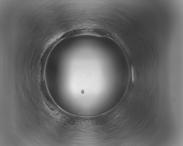 X0000077370675200610201349