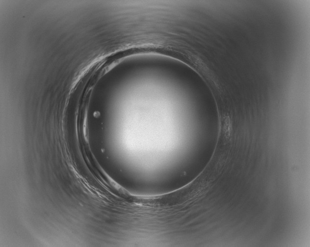 X0000077370676200610201349