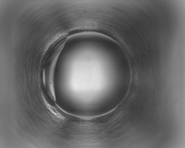 X0000077370677200610201349