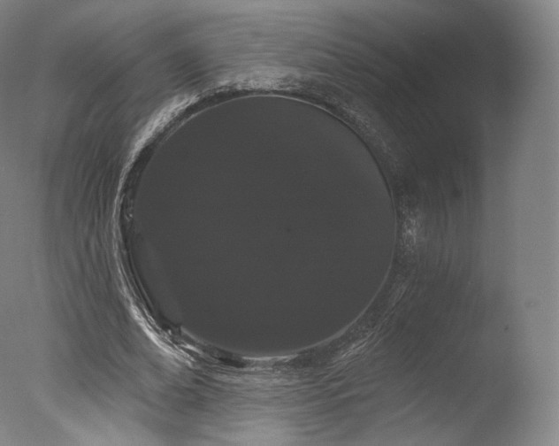 X0000077370678200610201349