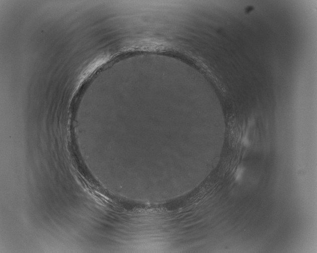 X0000077370679200610201349