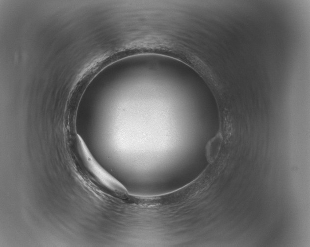 X0000077370680200610201349