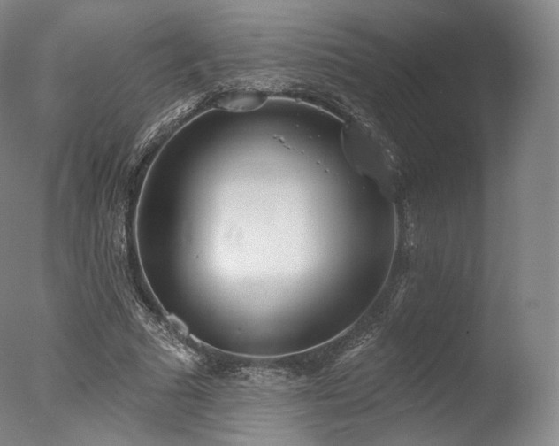 X0000077370681200610201349