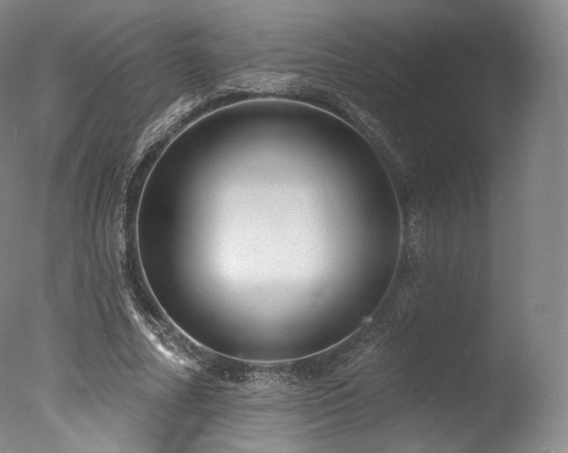 X0000077370682200610201349