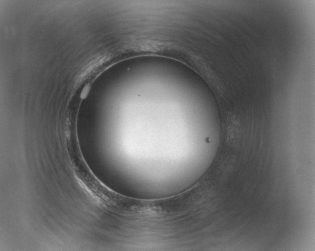 X0000077370683200610201349