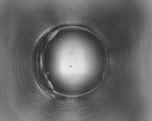 X0000077370684200610201349