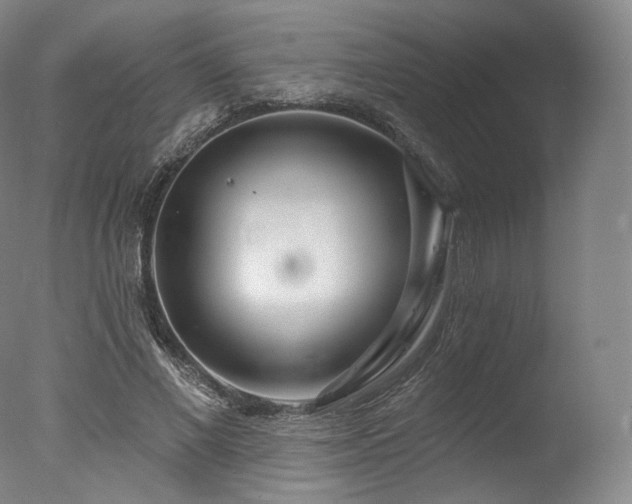 X0000077370685200610201349