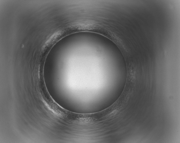 X0000077370686200610201349