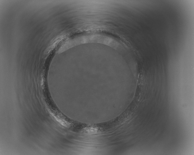 X0000077370687200610201349