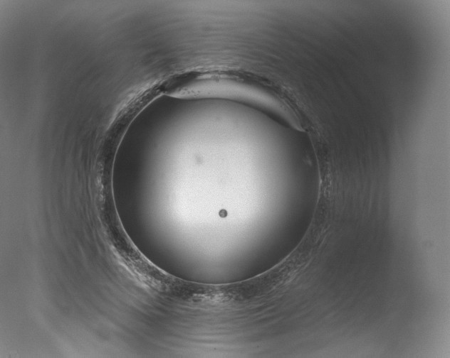 X0000077370688200610201349