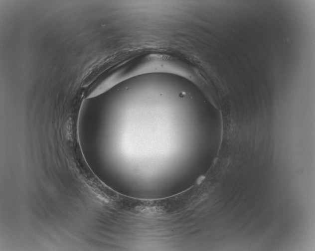 X0000077370689200610201349