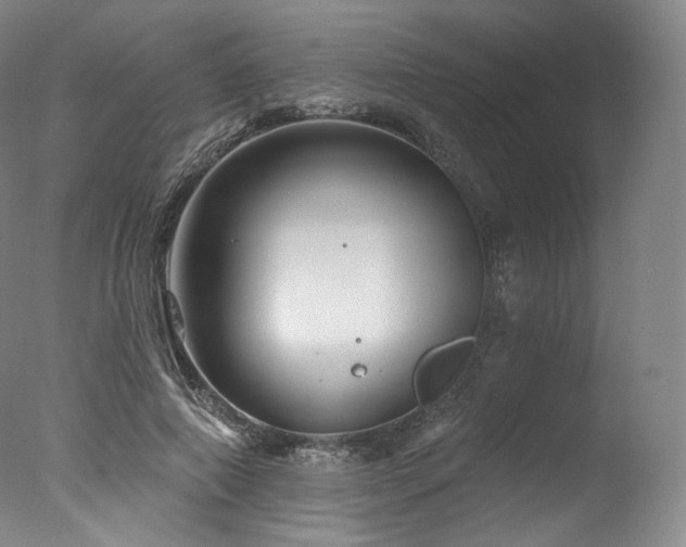 X0000077370690200610201349