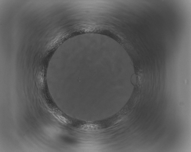 X0000077370691200610201349