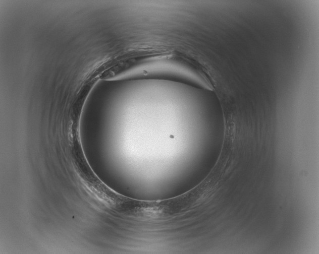 X0000077370692200610201349