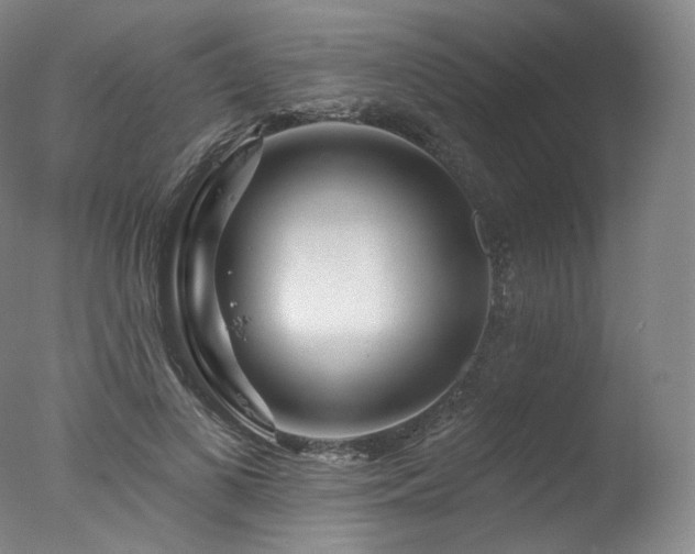 X0000077370693200610201349