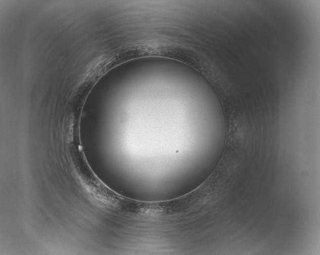 X0000077370694200610201349