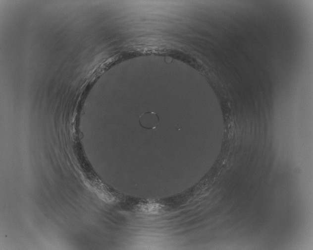 X0000077370695200610201349