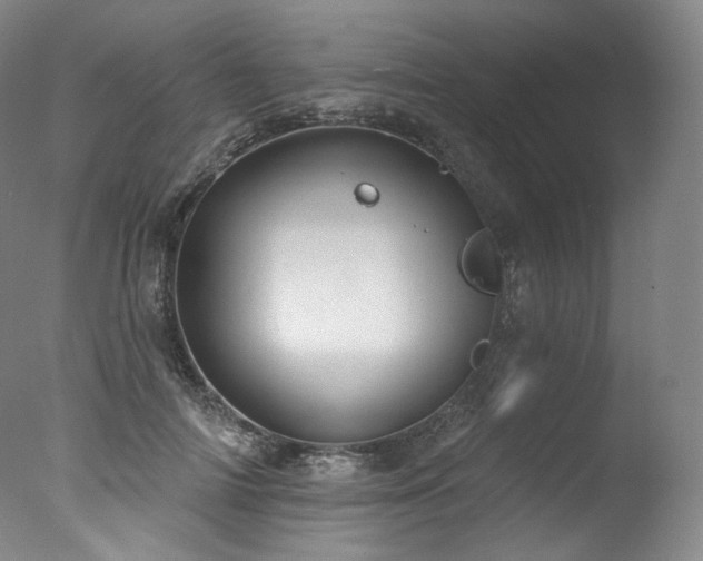 X0000077370698200610201349