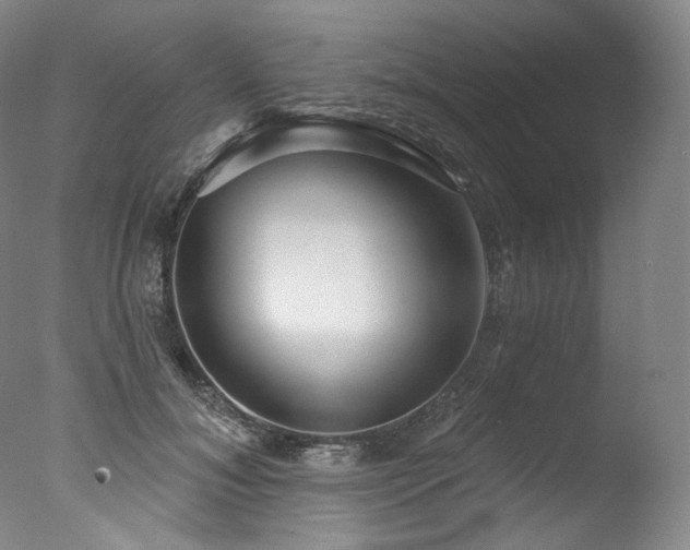 X0000077370700200610201349