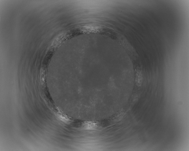 X0000077370701200610201349