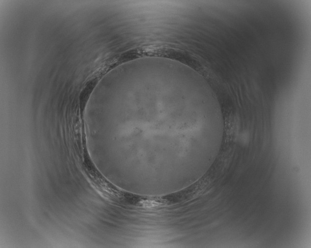 X0000077370703200610201349