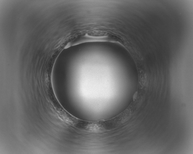 X0000077370704200610201349