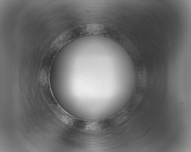 X0000077370705200610201349