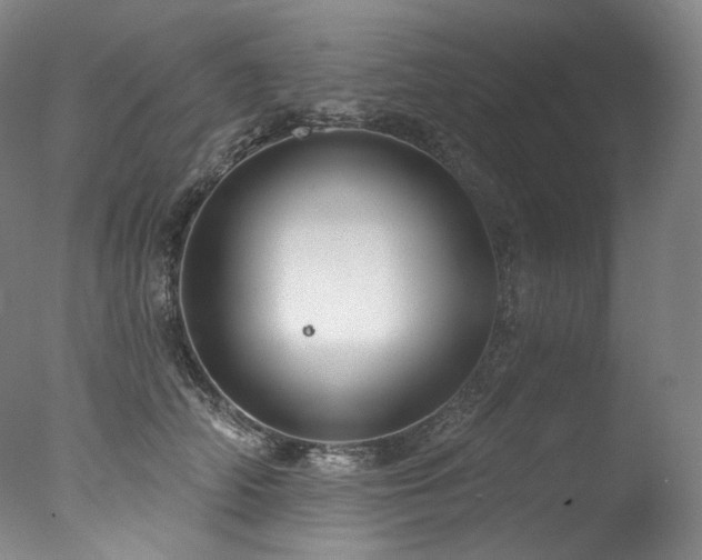 X0000077370706200610201349