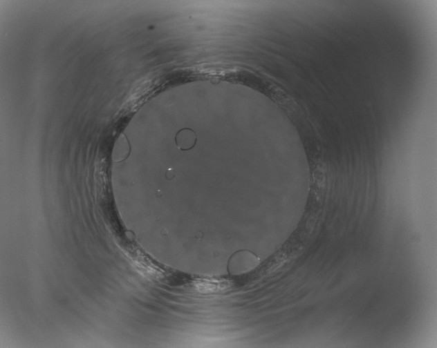 X0000077370707200610201349