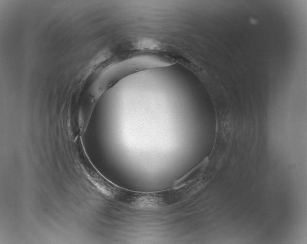 X0000077370708200610201349