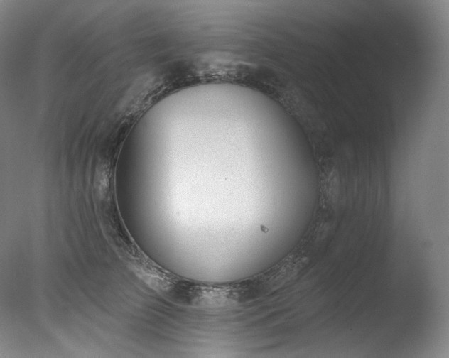 X0000077370709200610201349