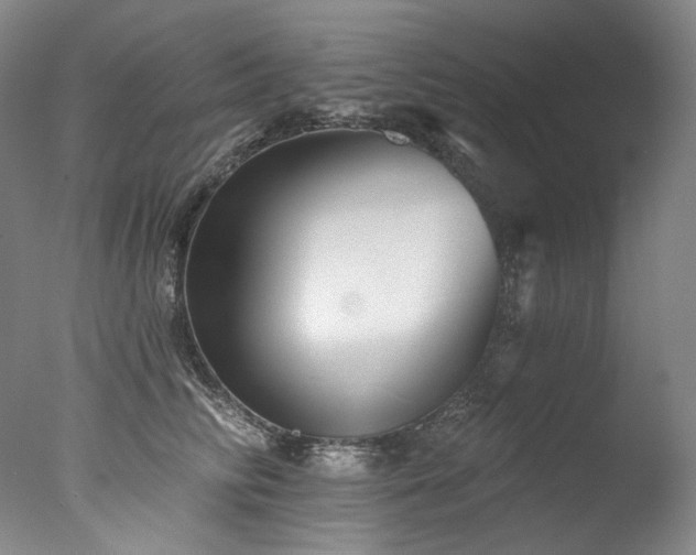 X0000077370710200610201349