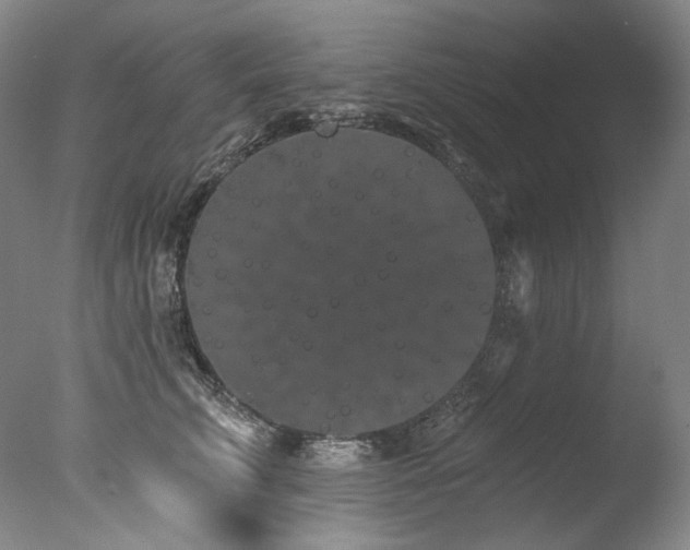 X0000077370711200610201349