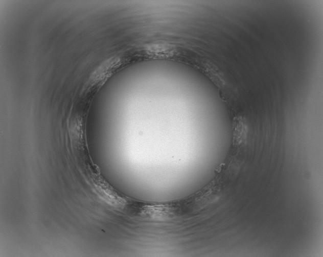 X0000077370713200610201349