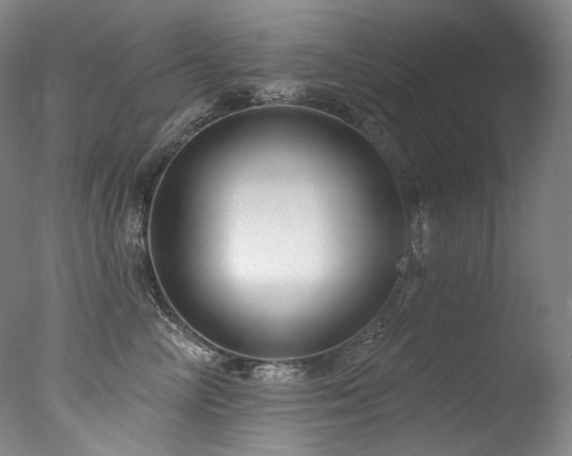 X0000077370714200610201349