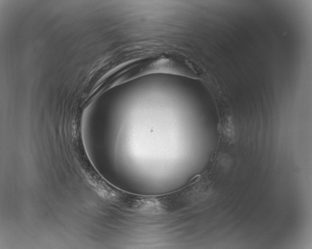 X0000077370715200610201349