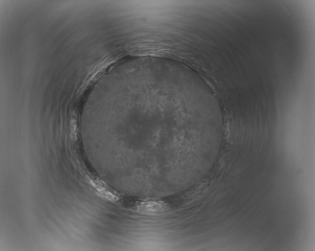 X0000077370716200610201349