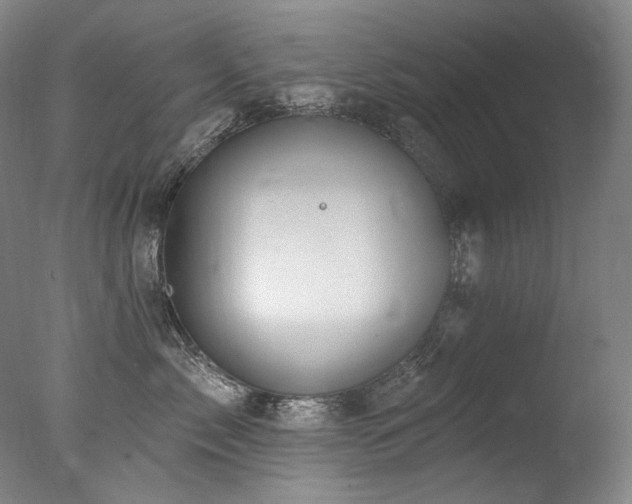 X0000077370717200610201348