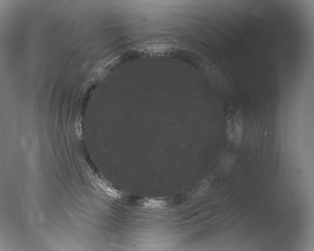 X0000077370718200610201348