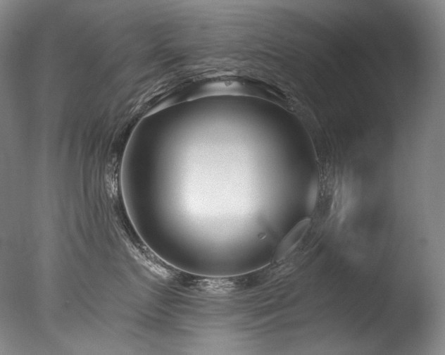 X0000077370719200610201348