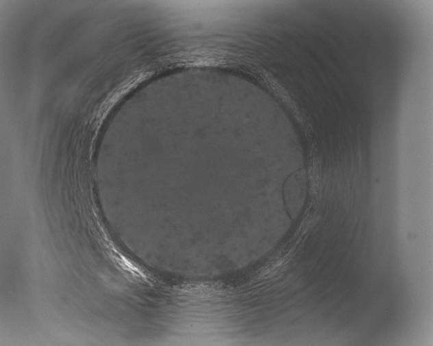 X0000077370721200610201348