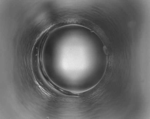 X0000077370722200610201348